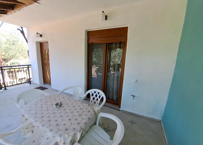 Dolphins House